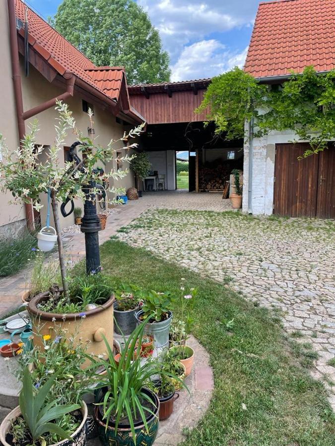 Farm stay Statek Keblice